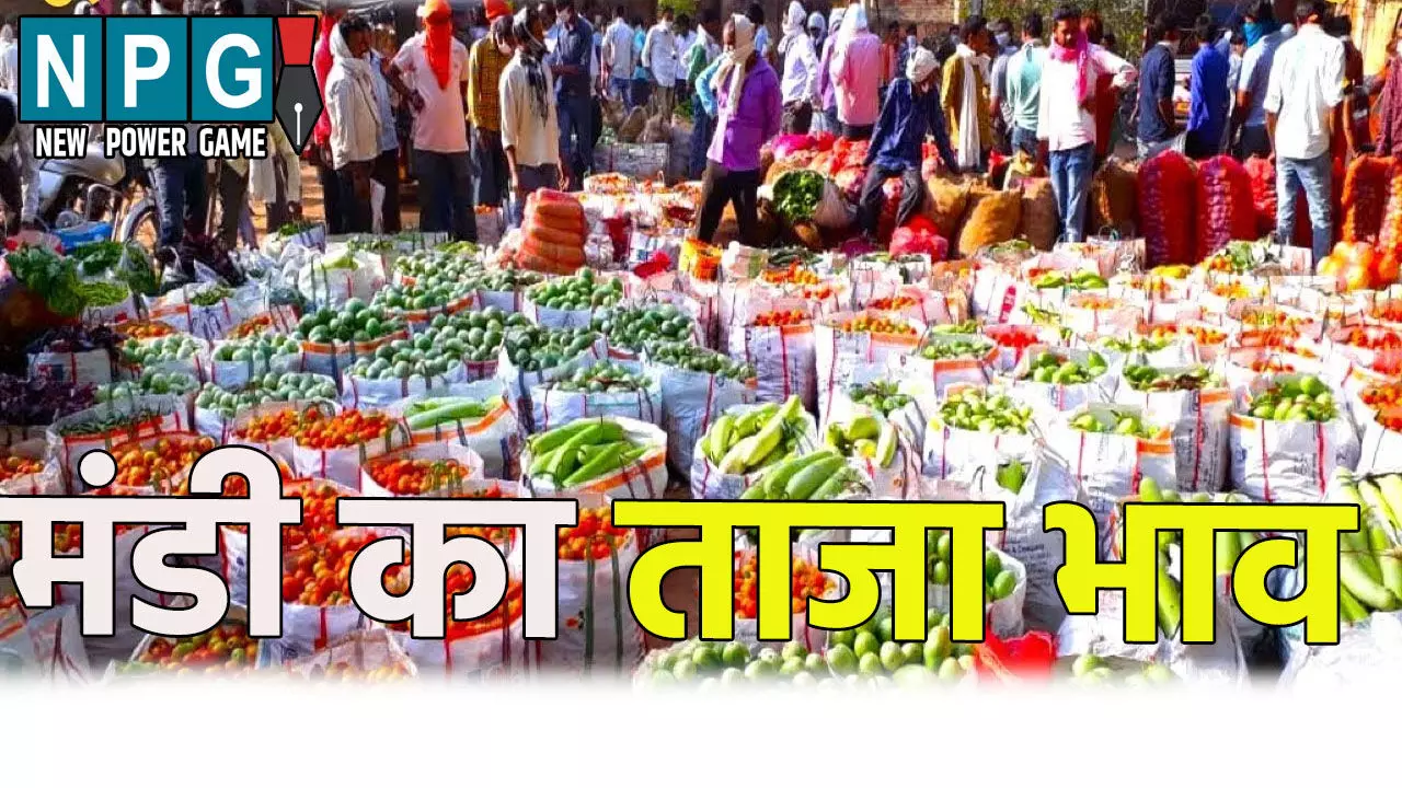 छत्तीसगढ़ में मंडी का ताजा भाव, जाने क्या है अनाज, दाल, तिलहन और सब्जियों का भाव छत्तीसगढ़ में मंडी का ताजा भाव, जाने क्या है अनाज, दाल, तिलहन और सब्जियों का भाव