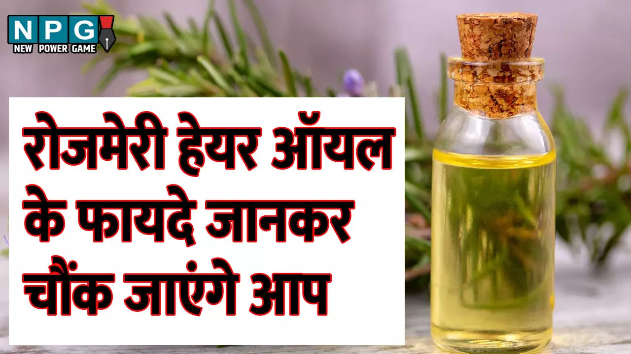 Rosemary Oil hair benefits: डैंड्रफ और झड़ते बालों से परेशान? रोजमेरी ऑयल से पाएं जादुई इलाज, बाल बनेंगे सिल्की और हेल्दी! Rosemary Oil hair benefits: डैंड्रफ और झड़ते बालों से परेशान? रोजमेरी ऑयल से पाएं जादुई इलाज, बाल बनेंगे सिल्की और हेल्दी!