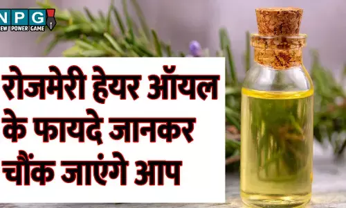 Rosemary Oil hair benefits: डैंड्रफ और झड़ते बालों से परेशान? रोजमेरी ऑयल से पाएं जादुई इलाज, बाल बनेंगे सिल्की और हेल्दी!
