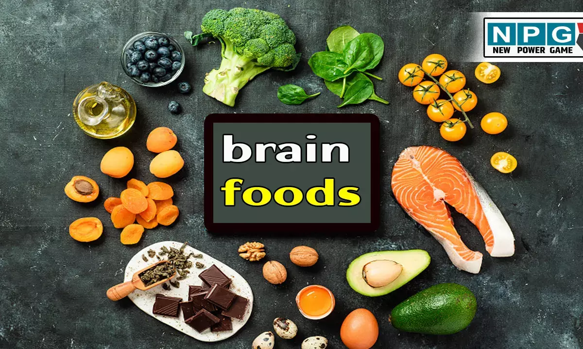Brain Boosting Foods In Hindi: आपकी याददाश्त और फोकस बनाने में मदद करेंगे ये ब्रेन बुस्टिंग फूड्स, अपनी डाइट में आज ही कर लें शामिल