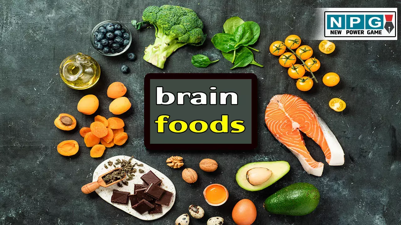 Brain Boosting Foods In Hindi: आपकी याददाश्त और फोकस बनाने में मदद करेंगे ये ब्रेन बुस्टिंग फूड्स, अपनी डाइट में आज ही कर लें शामिल