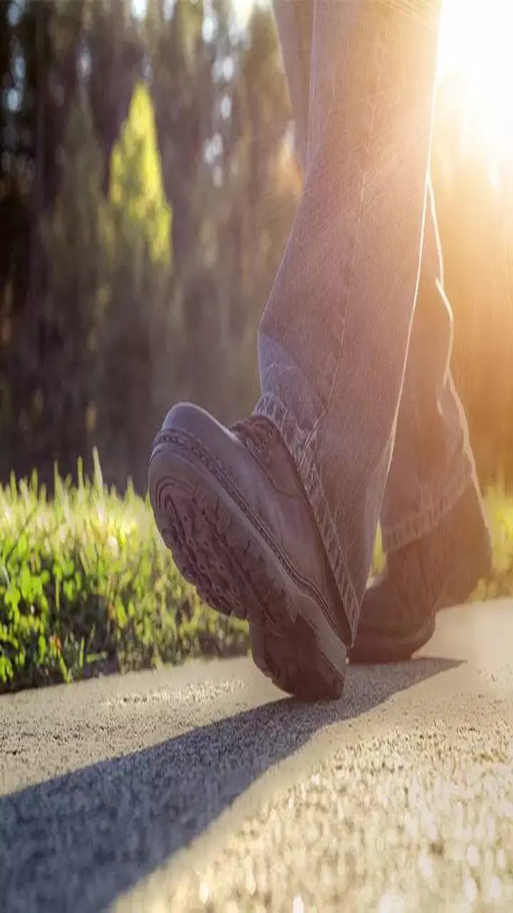 Vastu Tips: इन चीजों को भूलकर भी न लांघें रास्ते में, वरना बुरा वक्त दे सकता है दस्तक