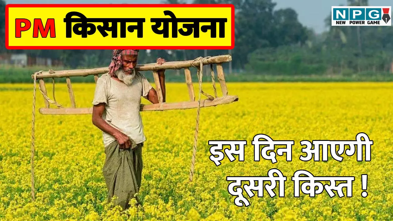 PM Kisan Yojana: पीएम किसान योजना, कब मिलेगी 20वीं किस्त, आपका नाम है या नहीं ऐसे करें चेक
