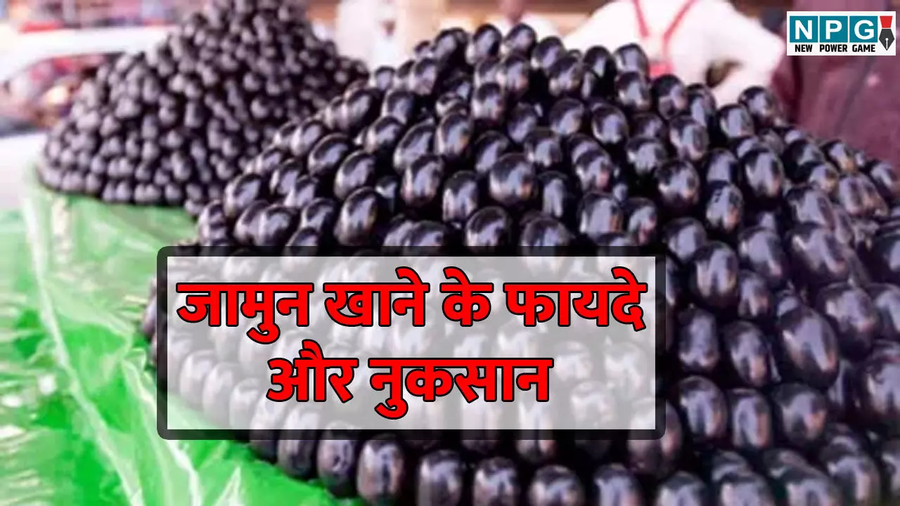 Jamun Side Effect: अगर आप भी जामुन खाने के साथ करते हैं ये गलतियां तो हो जाए सावधान! जानें किन चीजों से करें परहेज...