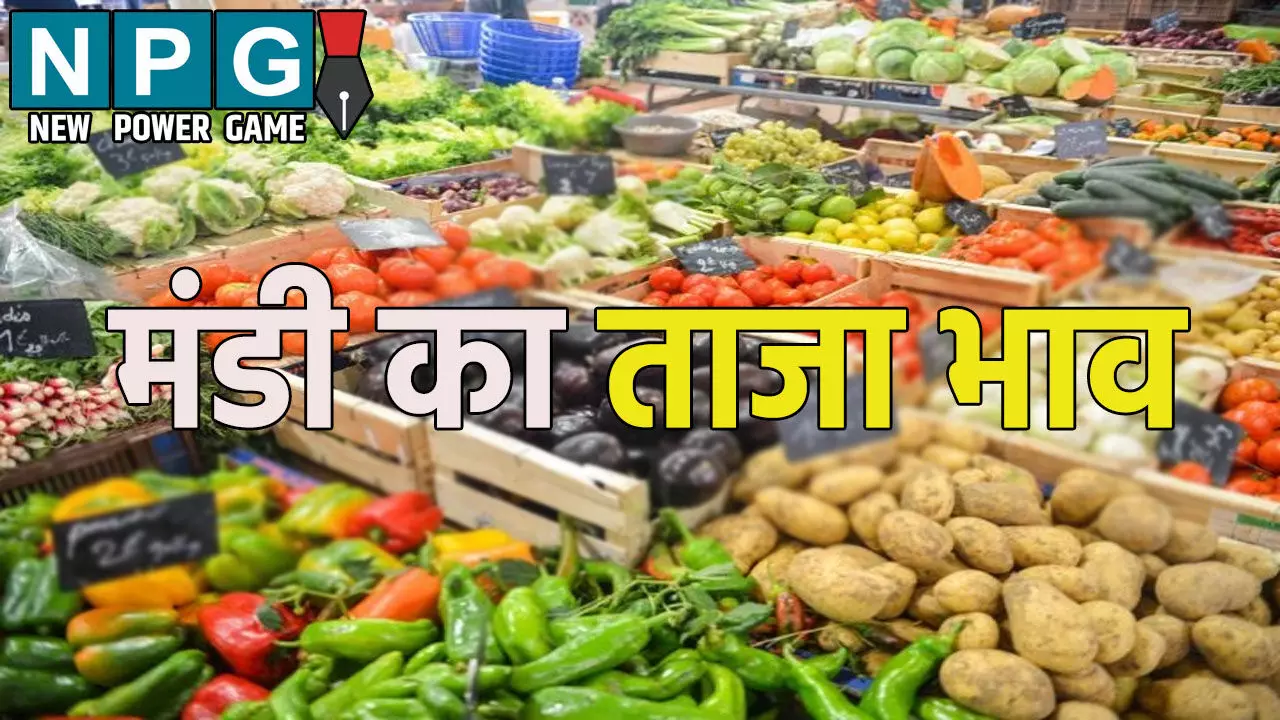 छत्तीसगढ़ के मंडी में उतार-चढ़ाव जारी, यहां जाने अनाज, दाल, तिलहन और सब्जियों के ताजा भाव छत्तीसगढ़ के मंडी में उतार-चढ़ाव जारी, यहां जाने अनाज, दाल, तिलहन और सब्जियों के ताजा भाव