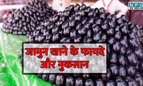 Jamun Side Effect: अगर आप भी जामुन खाने के साथ करते हैं ये गलतियां तो हो जाए सावधान! जानें किन चीजों से करें परहेज...