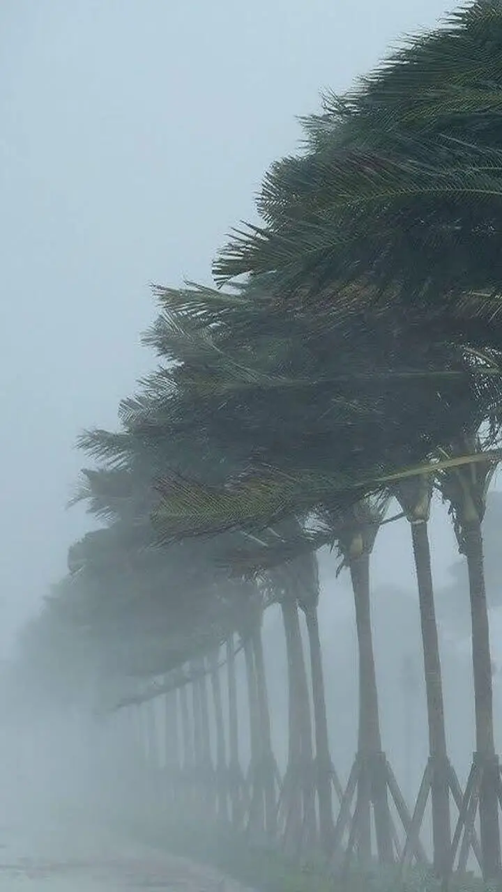CG Weather Update: छत्तीसगढ़ में फिर सक्रिय हुआ मानसून, बिजली-बारिश का अलर्ट, तापमान में गिरावट