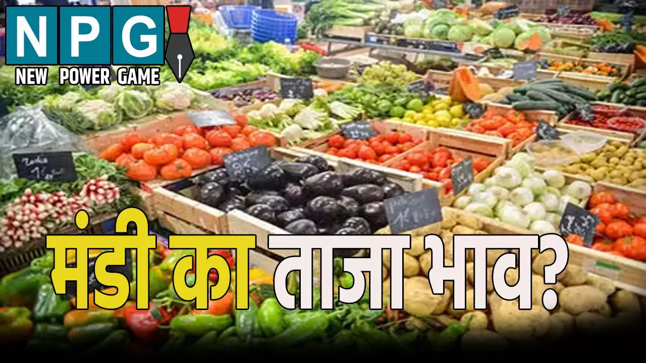 छत्तीसगढ़ में क्या है मंडी का ताजा भाव? जाने दाल, तिलहन और सब्जियों का ताजा रेट छत्तीसगढ़ में क्या है मंडी का ताजा भाव? जाने दाल, तिलहन और सब्जियों का ताजा रेट