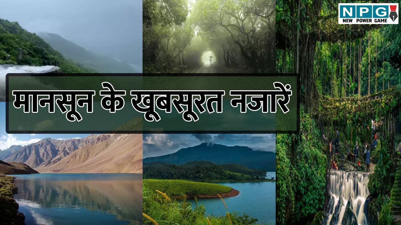 Places To Visit in Monsoon: जुलाई में कहां जाएं घूमने? यहां मिलेंगे मानसून के खूबसूरत नजारें