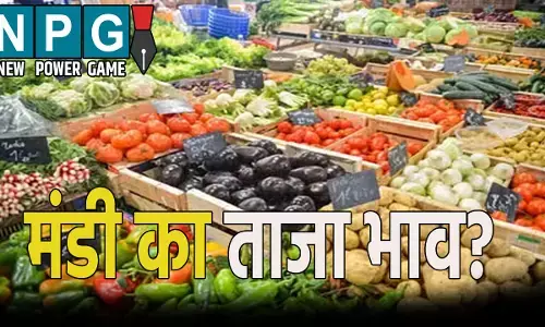 छत्तीसगढ़ में क्या है मंडी का ताजा भाव? जाने  दाल, तिलहन और सब्जियों का ताजा रेट