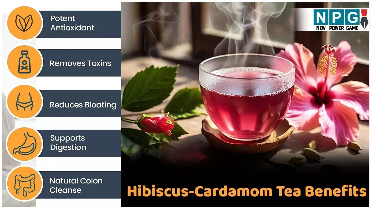 Hibiscus Cardamom Tea Benefits: बैली फैट घटाने में मदद करेगी गुड़हल और इलायची की चाय