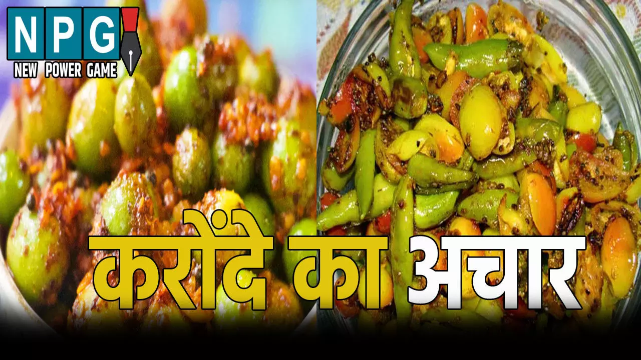 करोंदे का अचार: स्वाद-सेहत और स्टोरेज का देसी नुस्खा, जानिए इसे बनाने की आसान रेसिपी