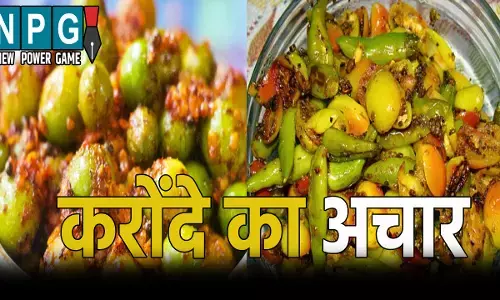 करोंदे का अचार: स्वाद-सेहत और स्टोरेज का देसी नुस्खा, जानिए इसे बनाने की आसान रेसिपी