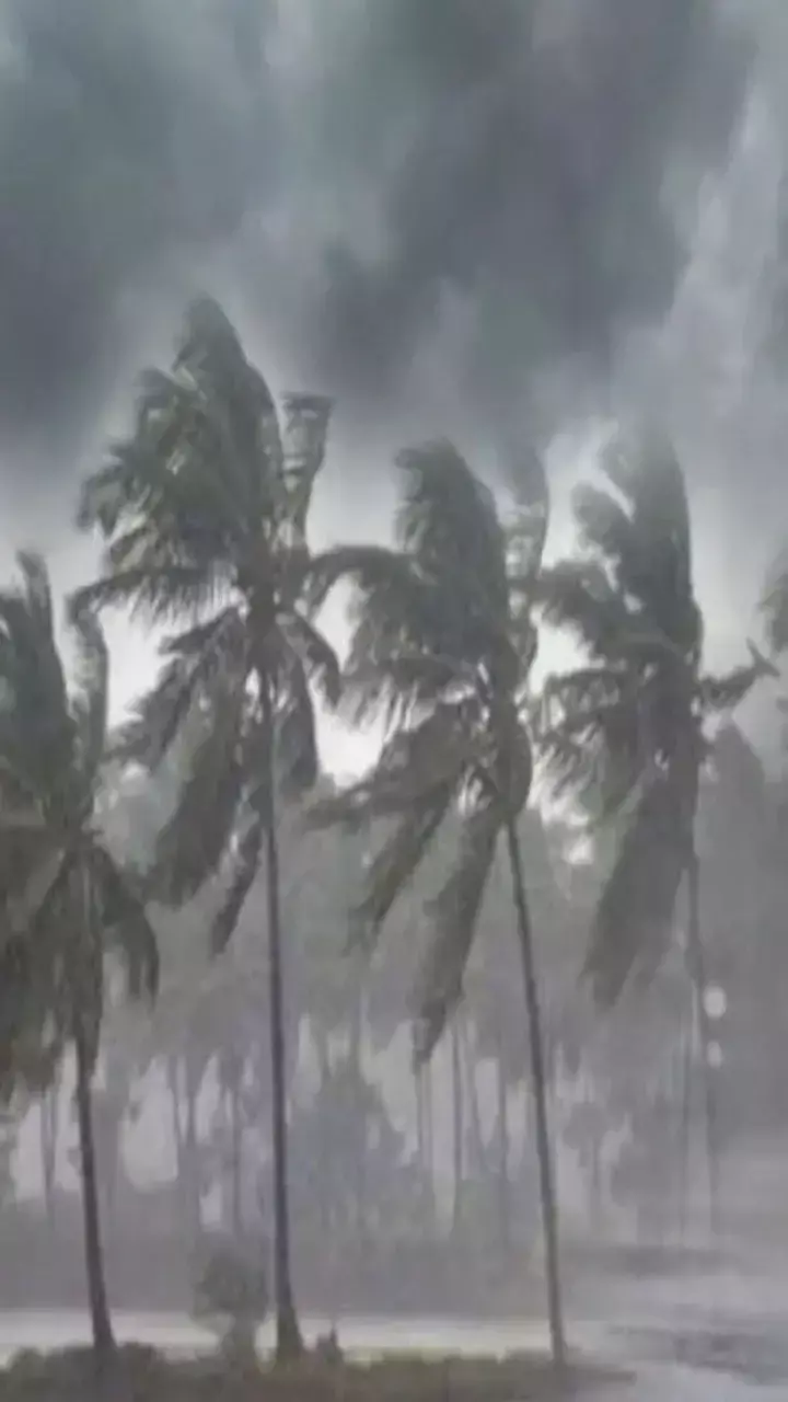 CG Weather Update: छत्तीसगढ़ में मानसून की जबरदस्त दस्तक, 8 जिलों में भारी बारिश का अलर्ट