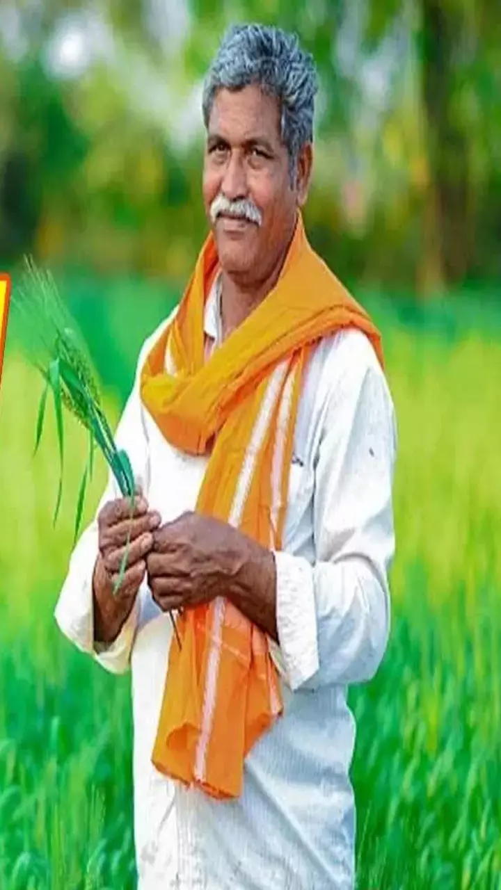 PM Kisan 20th Installment Date: PM किसान 20वीं किस्त की तारीख का खत्म हुआ इंतजार? चेक करें क्या आ गए 2000 रुपये!