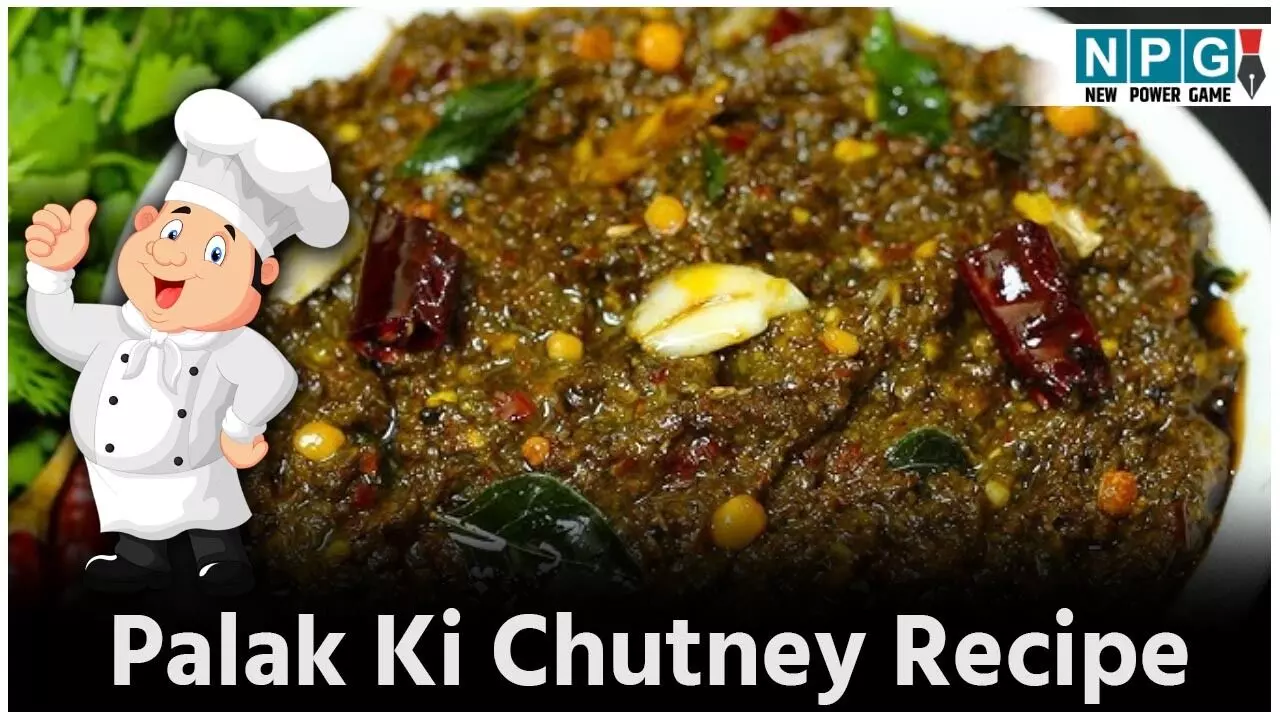 Palak Ki Chutney Recipe