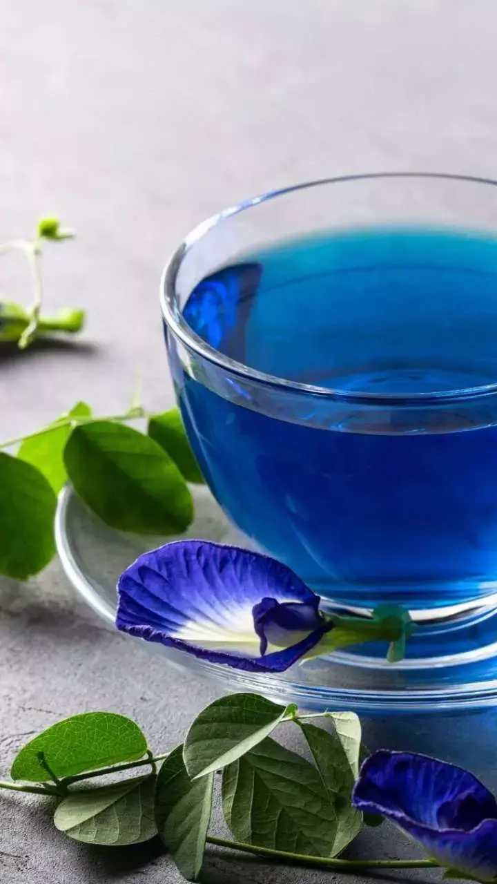 Blue Tea Pine Ke Fayde: एक चाय जो आपकी सेहत का ख्याल रखे, जानिए इसके अद्भुत फायदे