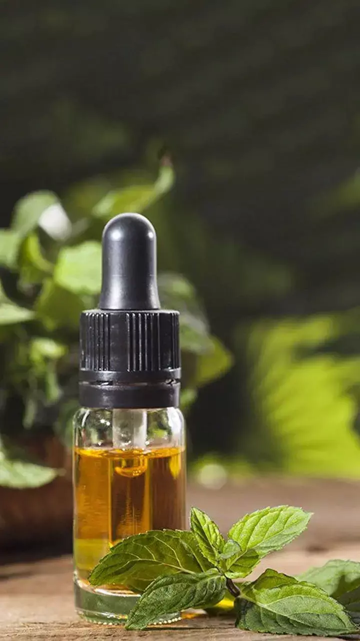 Pudine Ke Tel Ke Fayde:ये तेल, बालों की सेहत के लिए वरदान, जानें इसके फायदे और सावधानियां