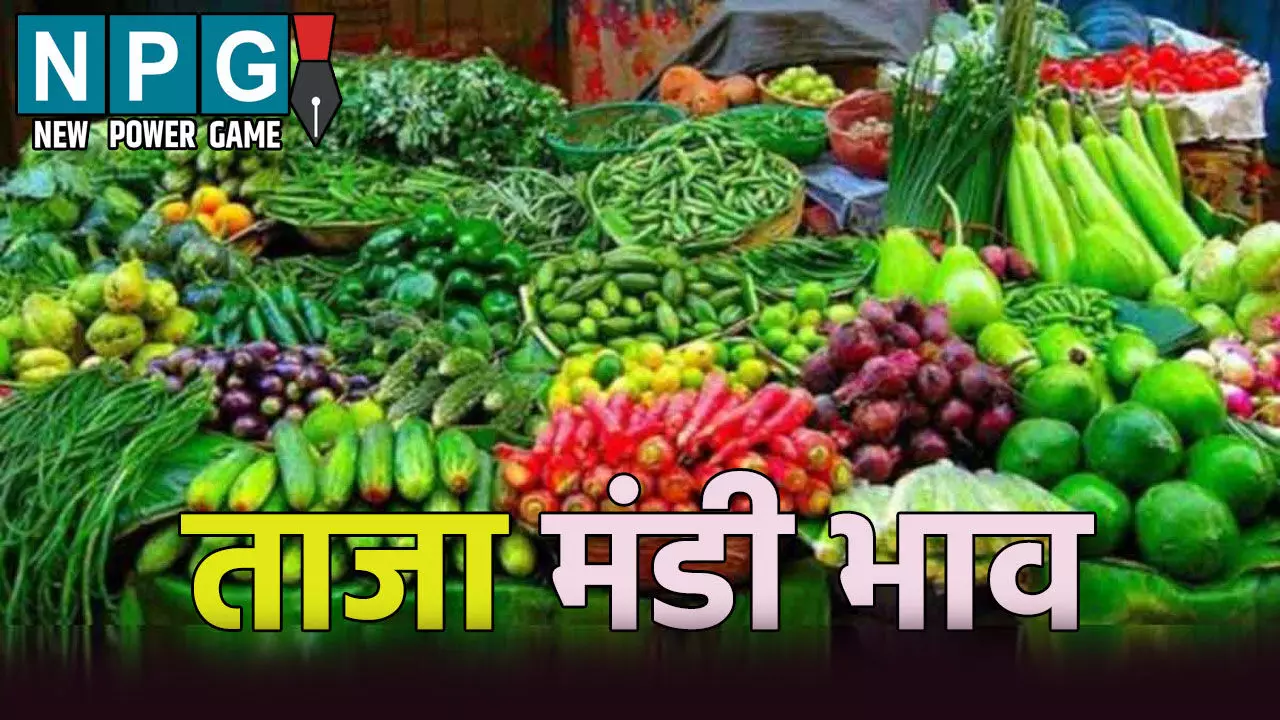 छत्तीसगढ़ के मंडी का ताजा भाव: दाल, तिलहन और सब्जियों का ताजा रेट क्या है?