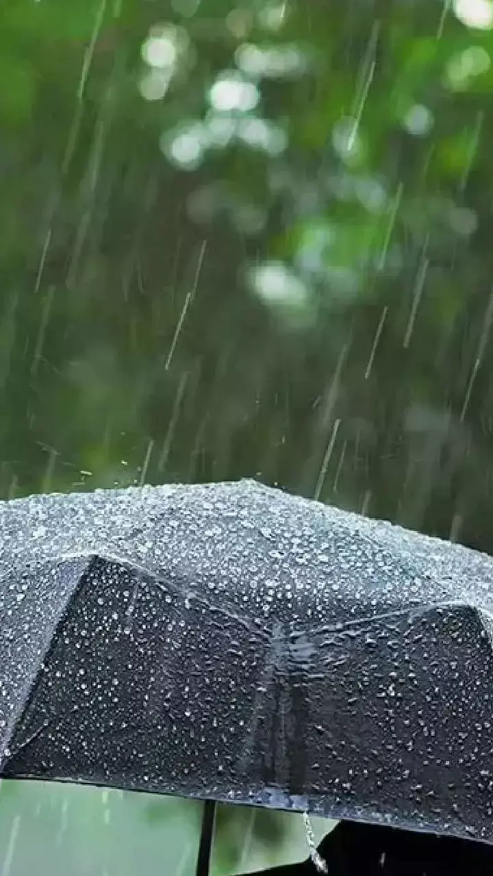 CG Weather Update: छत्तीसगढ़ में मानसून की धीमी रफ्तार, बिजली गिरने का यलो अलर्ट जारी