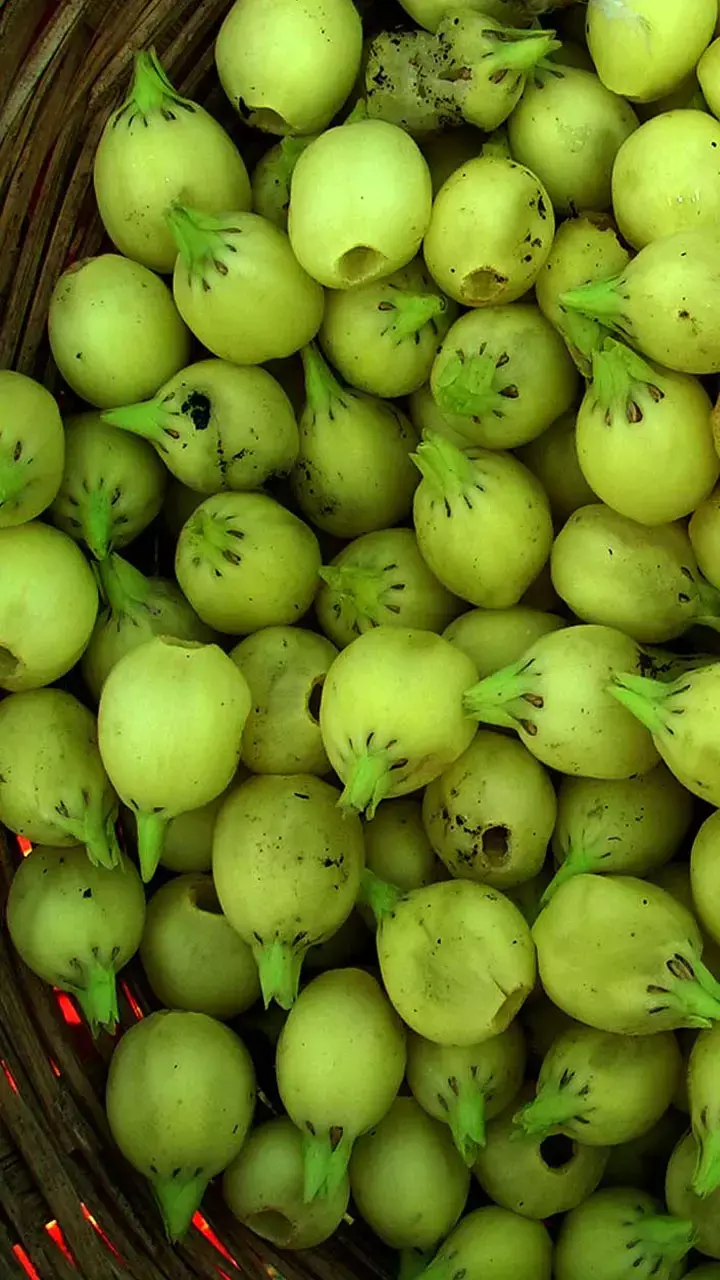 Mahua Fal Khane Ke Fayde: महिलाओं के लिए अमृत से कम नहीं ये चीज, जानें इसके चमत्कारी फायदे