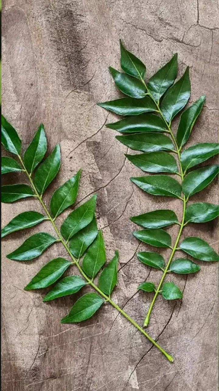 Guava Leaves Juice  For Better vision: अमरूद के पत्तों के साथ मिलाकर पी लें ये चीज़ें, जल्द उतर जाएगा चश्मा