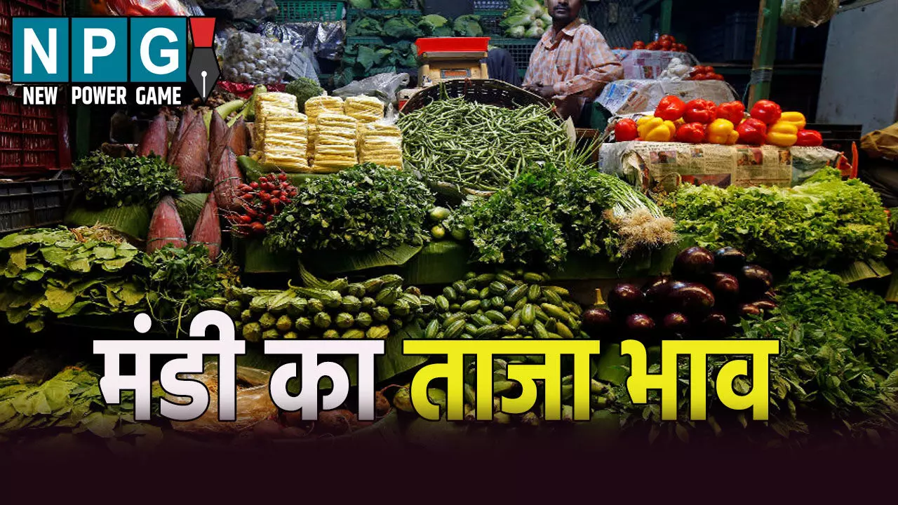 छत्तीसगढ़ मंडी का ताजा भाव, यहां जाने अनाज, दाल, तिलहन और सब्जियों का ताजा रेट