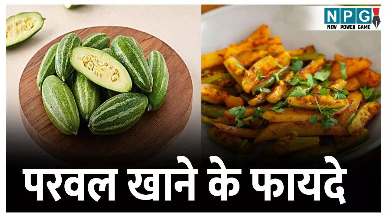 Parwal Ki Sabzi Khane Ke Fayde: परवल की सब्ज़ी बढ़ती उम्र को रखेगी थाम कर,