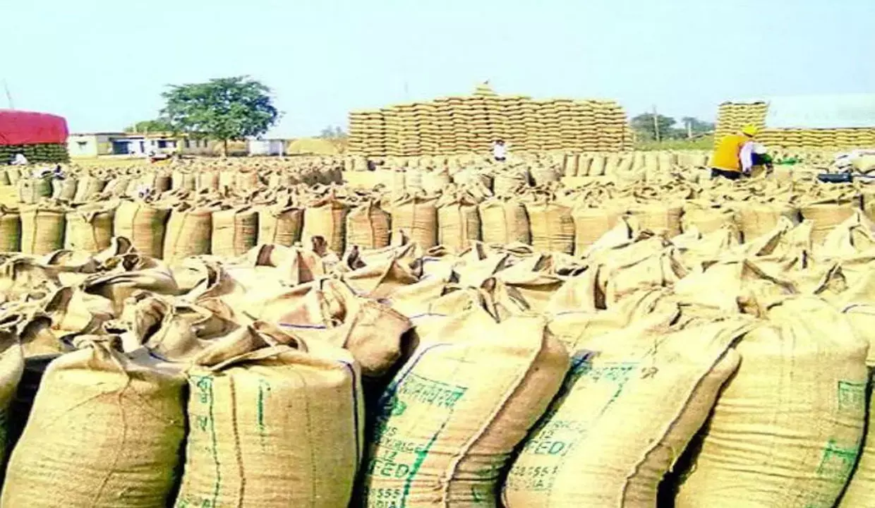 CG Paddy: 8000 करोड की चपत लगाने वाले मार्कफेड के अफसरों पर कार्रवाई क्यों नहीं? टाईम पर धान का टेंडर होता तो भी 1800 करोड़ बच जाता