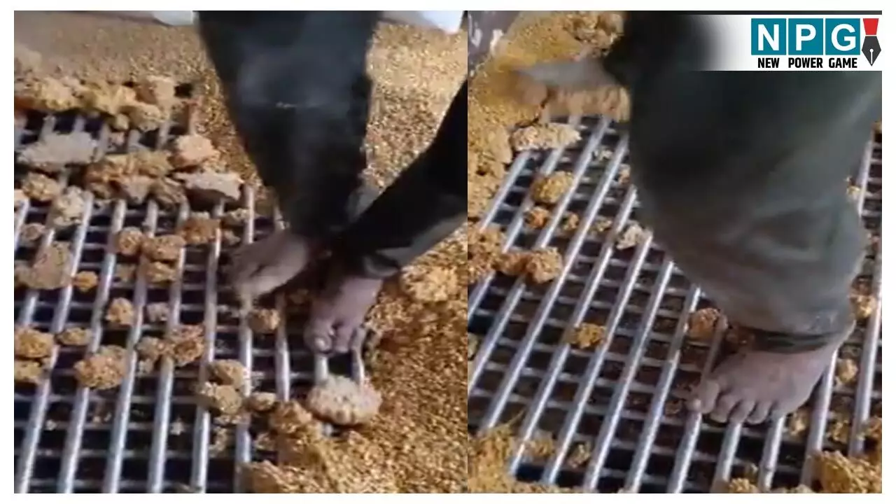 Rewa Viral Video News: पैरों से कुचलकर बनाया जा रहा है गर्भवती महिलाओं-बच्चों को बंटने वाला पोषण आहार