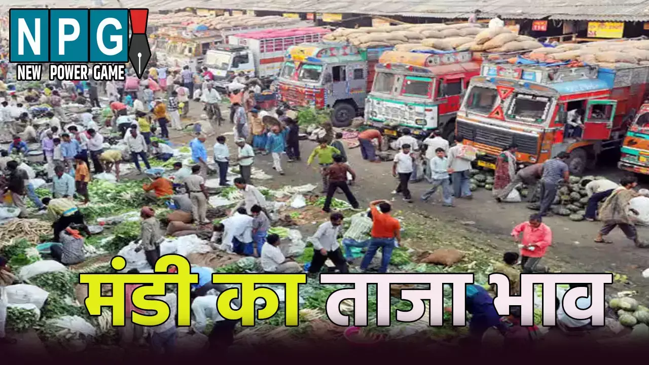 छत्तीसगढ़ के मंडी का ताजा भाव: जानिए अनाज, दाल, तिलहन और सब्जियों का ताजा रेट