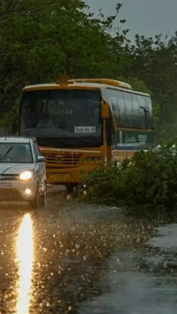 CG Weather Update: छत्तीसगढ़ में मानसून हो रहा सक्रिय, 33 जिलों में यलो अलर्ट, बारिश का सिलसिला रहेगा जारी