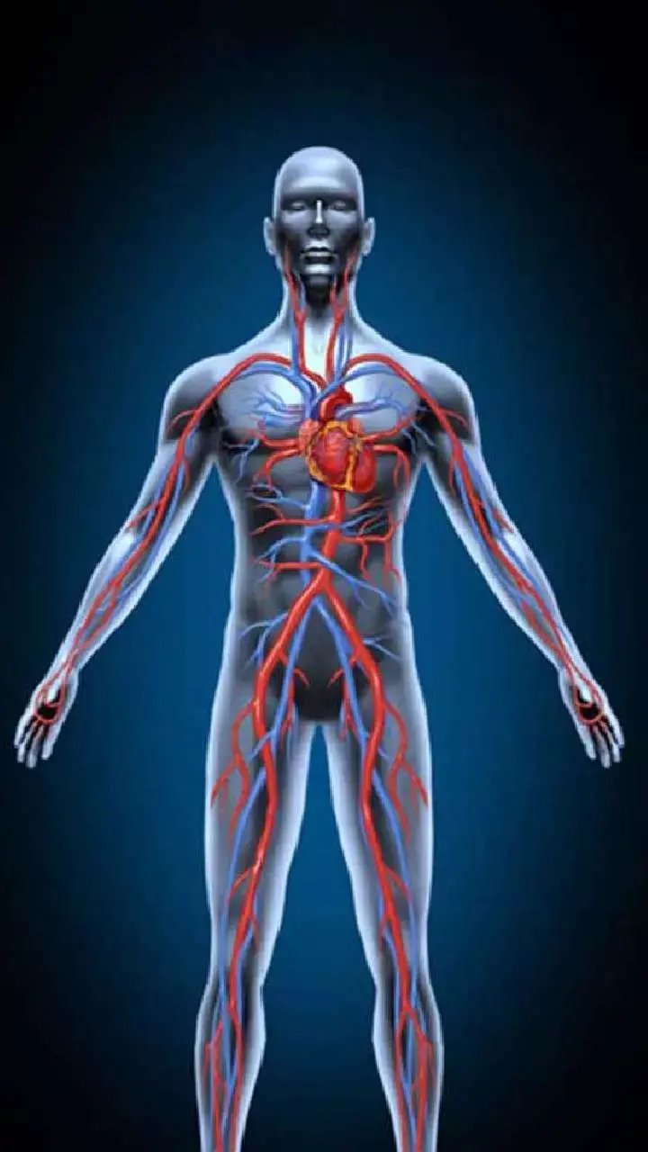 Foods To improve Blood Circulation: पुअर ब्लड सर्कुलेशन से पैरों में रहता है दर्द तो खाएं ये चीज़ें