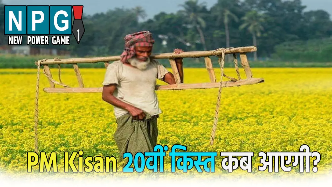 PM Kisan 20वीं किस्त कब आएगी? रजिस्ट्रेशन नंबर, स्टेटस और eKYC एक क्लिक में करें चेक PM Kisan 20वीं किस्त कब आएगी? रजिस्ट्रेशन नंबर, स्टेटस और eKYC एक क्लिक में करें चेक