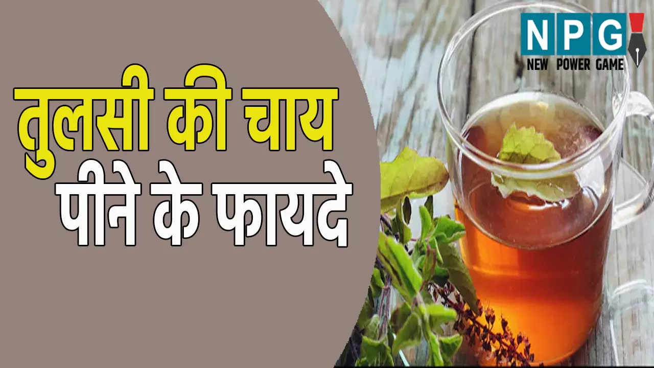 Tulsi Tea Benefits hindi: डाइट में शामिल करें तुलसी की चाय, बीमारियों को कहे बाय-बाय! फायदे जानकर हो जाएंगे हैरान