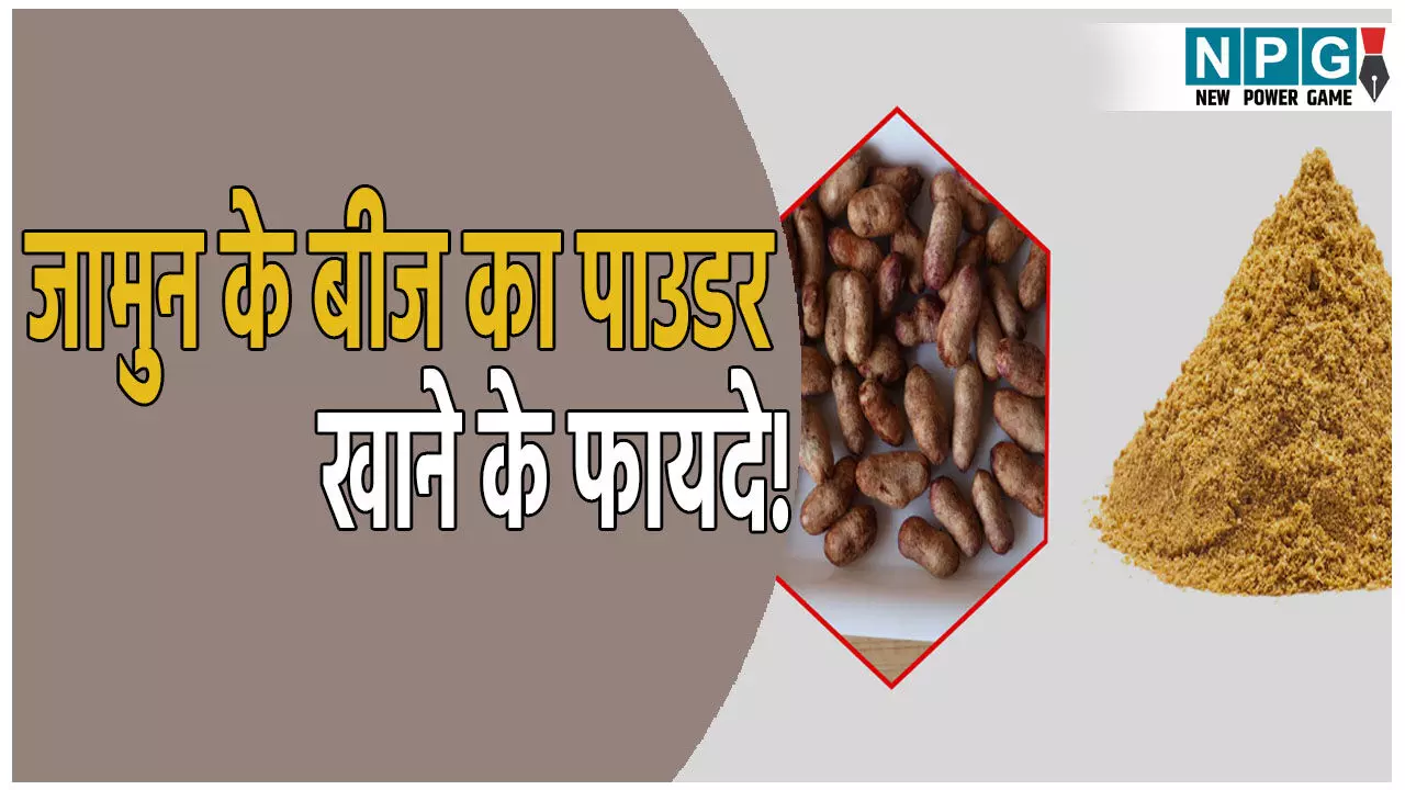 जामुन खाने के बाद फेंक देते हैं बीज! न करें ये गलती, बीज के फायदे जानकर हो जाएंगे हैरान जामुन खाने के बाद फेंक देते हैं बीज! न करें ये गलती, बीज के फायदे जानकर हो जाएंगे हैरान