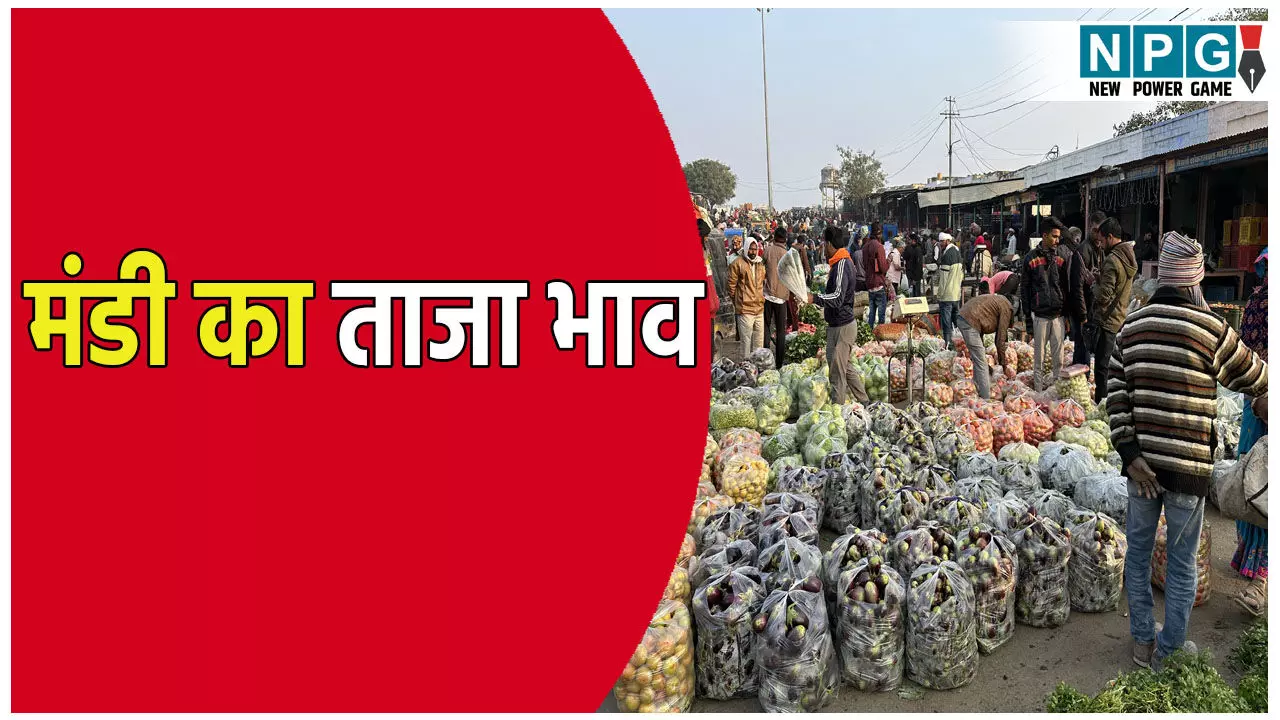 छत्तीसगढ़ के मंडी का ताजा भाव, यहां जाने अनाज, दाल, तिलहन और सब्जियों का ताजा रेट