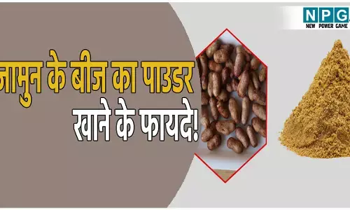 जामुन खाने के बाद फेंक देते हैं बीज! न करें ये गलती, बीज के फायदे जानकर हो जाएंगे हैरान