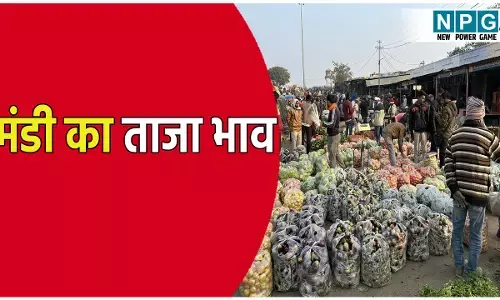 छत्तीसगढ़ के मंडी का ताजा भाव, यहां जाने अनाज, दाल, तिलहन और सब्जियों का ताजा रेट