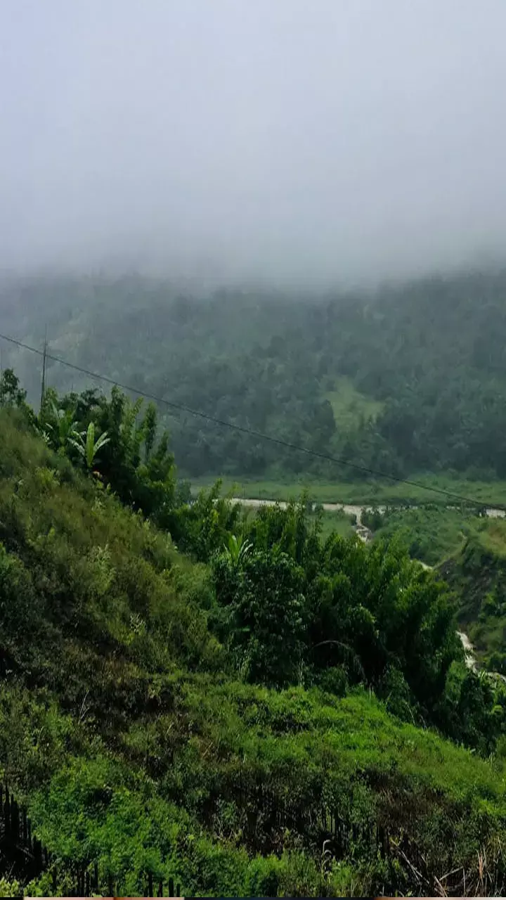 Monsoon Health Tips: मॉनसून में सेहत बनाए रखने के लिए अपनाएं ये टिप्स, रहें फिट और हेल्दी