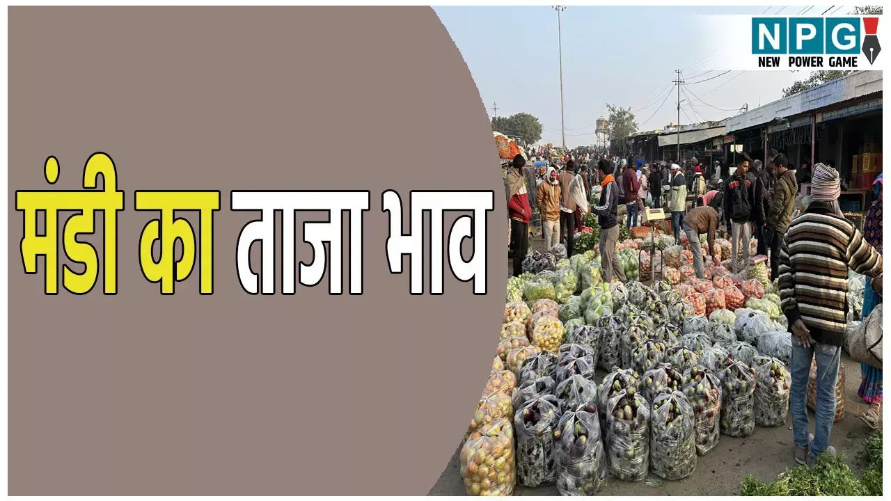 छत्तीसगढ़ में मंडी का ताजा भाव: यहां जाने अनाज, दाल, तिलहन और सब्जियों का ताजा रेट