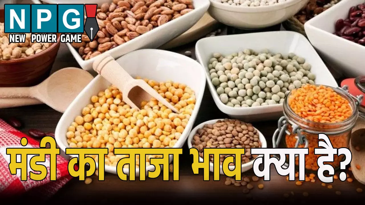 मंडी का ताजा भाव क्या है? यहां जाने अनाज, दाल, तिलहन और सब्जियों का ताजा रेट