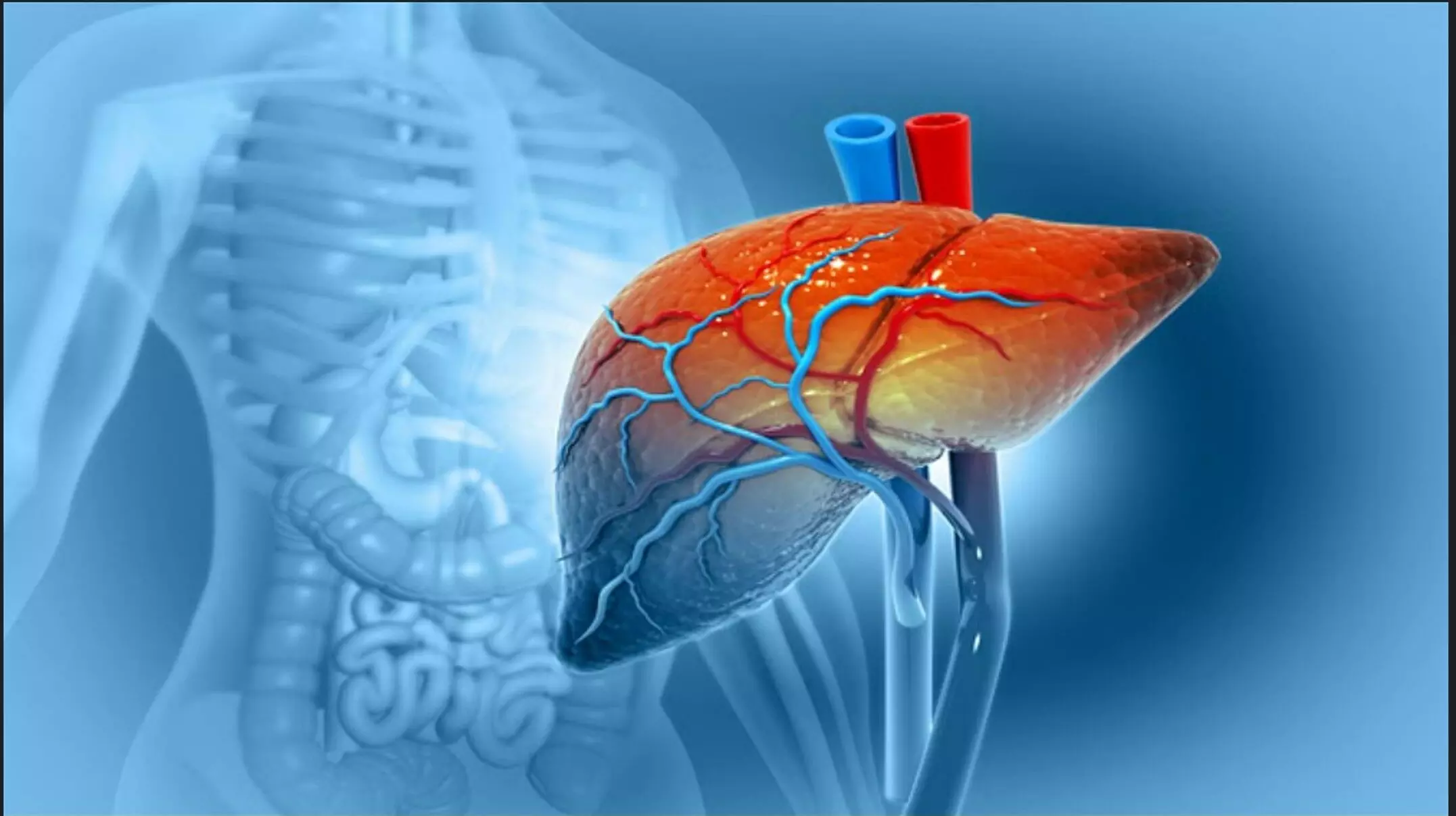 Liver Health Tips in Hindi: अगर दिखने लगे ये 7 लक्षण, तो लिवर SOS पर है! आज ही छोड़ दें ये 6 ज़हरीली आदतें वरना पछताना पड़ेगा