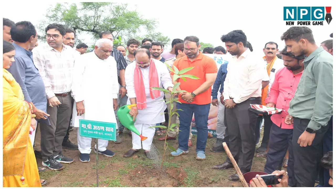 Mungeli News: हर आंगन में हरियाली एक पेड़ मां के नाम अभियान के तहत आवासों में लगाए गए एक लाख पौधें, गोल्डन बुक ऑफ वर्ल्ड रिकॉर्ड में इस जिले का नाम हुआ दर्ज