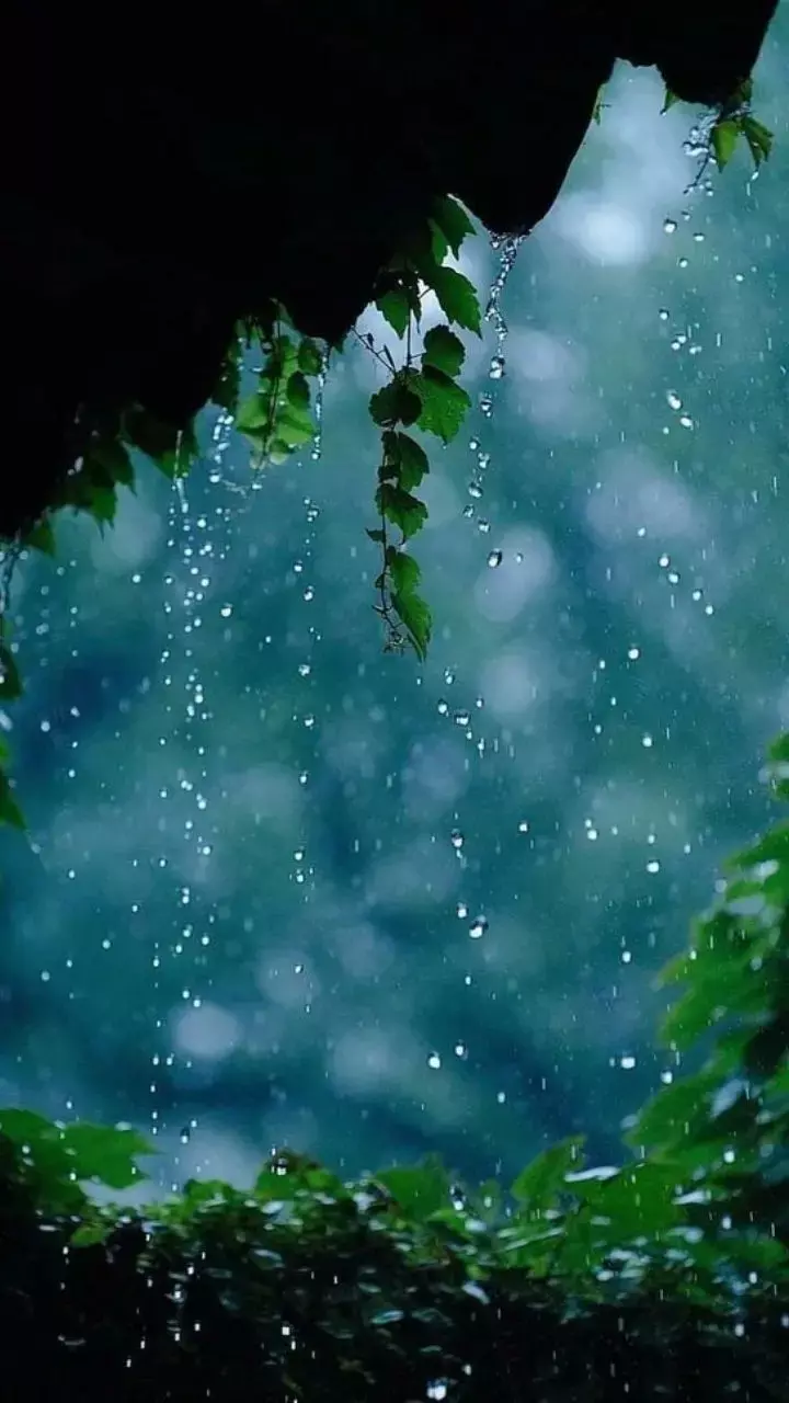 Vastu Tips: सावन से पहले घर की सफाई क्यों है जरूरी, जाने किन चीजों को तुरंत हटाएं