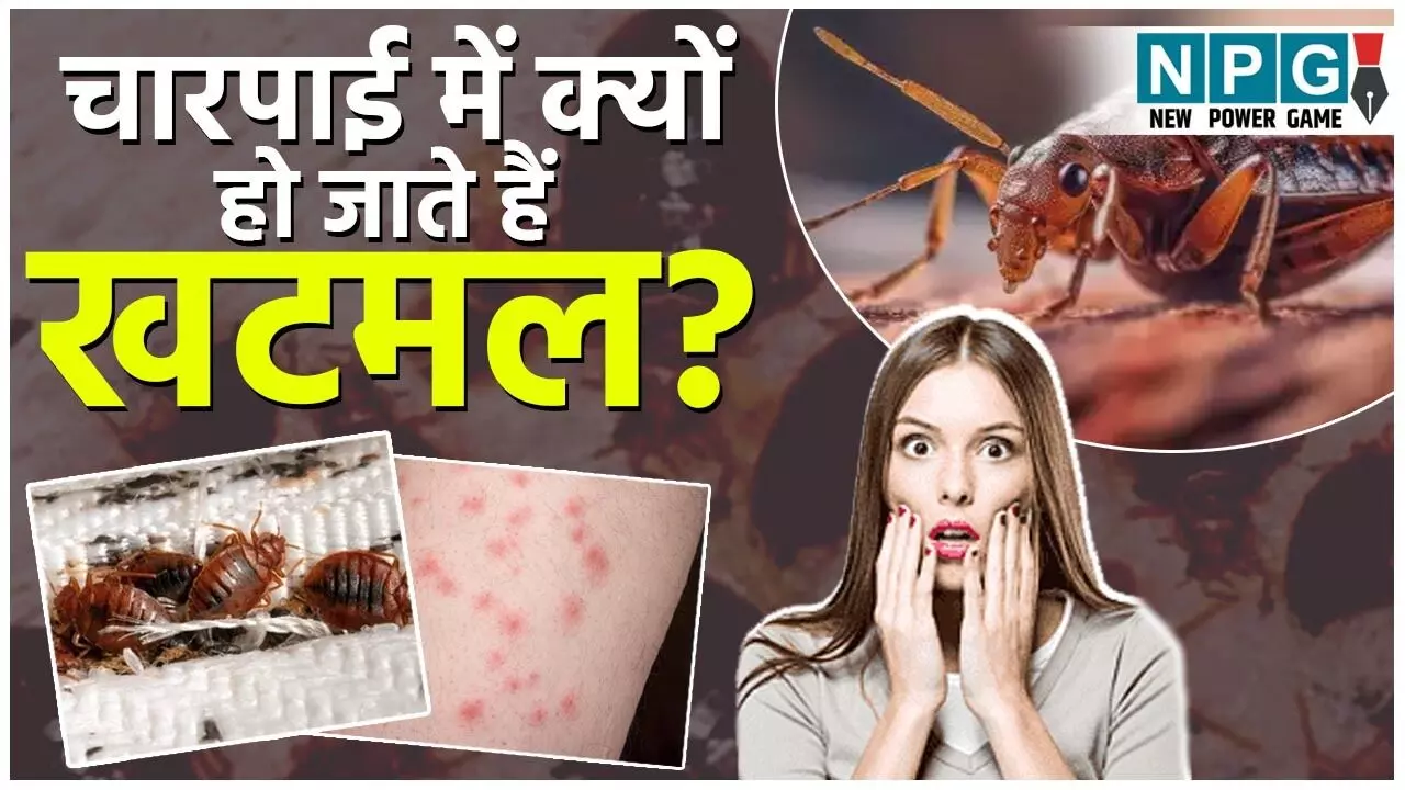khatmal kaise khatam kare: चारपाई में क्यों हो जाते हैं खटमल? जानिए आसान आयुर्वेदिक तरीके जिनसे होगा खटमल का सफाया