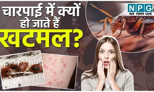 khatmal kaise khatam kare: चारपाई में क्यों हो जाते हैं खटमल? जानिए आसान आयुर्वेदिक तरीके जिनसे होगा खटमल का सफाया