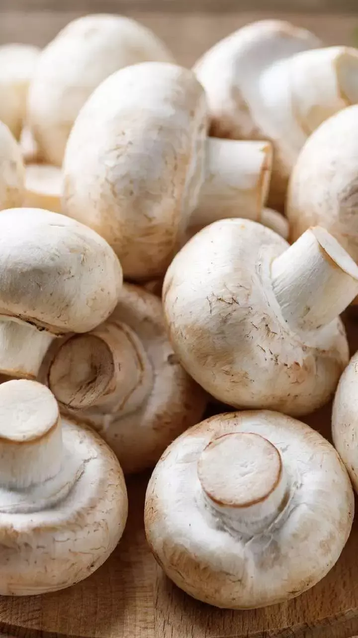 Mushroom Khane Ke Fayde: हैरान कर देंगे मशरूम खाने के ये जबरदस्त फायदे, सेहत के लिए बनाएं डेली डाइट का हिस्सा