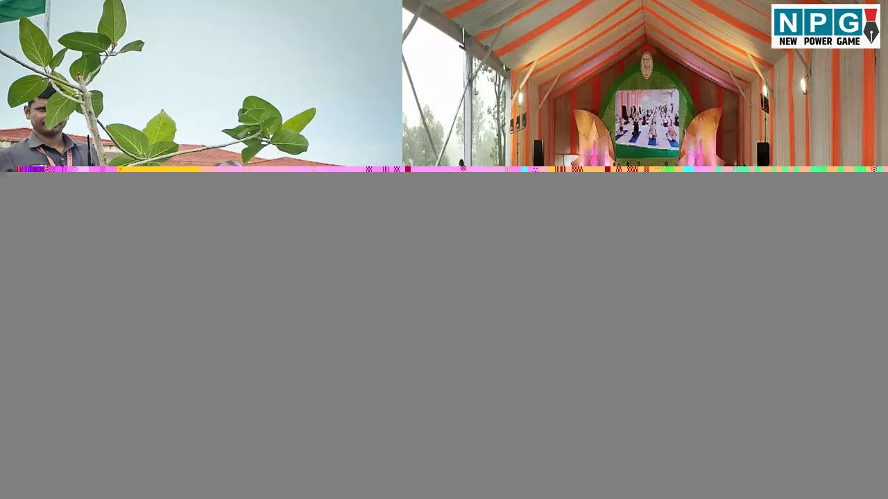 BJP Chintan Shivir: अनुशासित विद्यार्थियों की तरह विधायकों, सांसदों का प्रशिक्षण, योग से शुरू हुआ दिन, पढ़िये किस तरह की गई हैं व्यवस्थायें