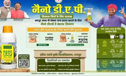 CG News: नैनो डीएपी किसानों के लिए वरदान, ठोस डीएपी उर्वरक का स्मार्ट विकल्प...
